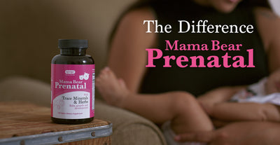 The Difference: Mama Bear Prenatal