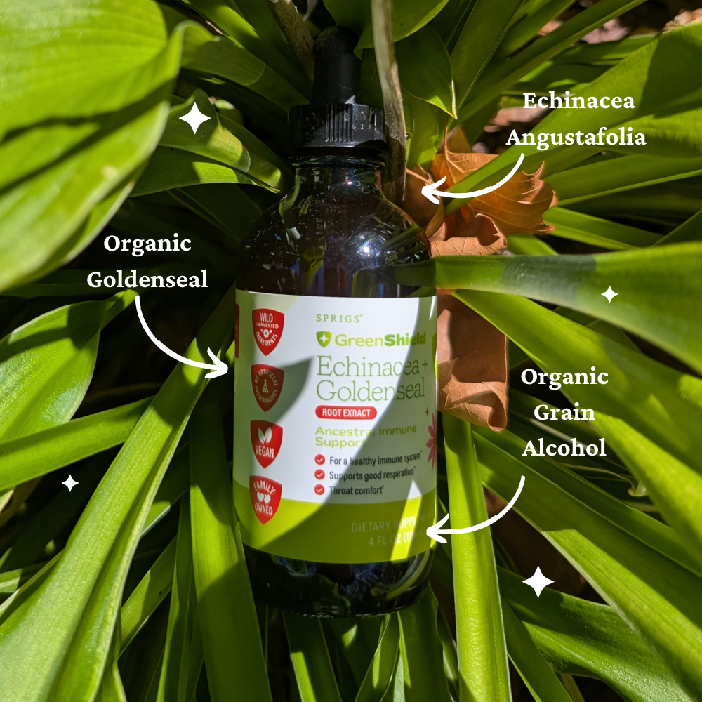 Echinacea &amp; Goldenseal Root Extract