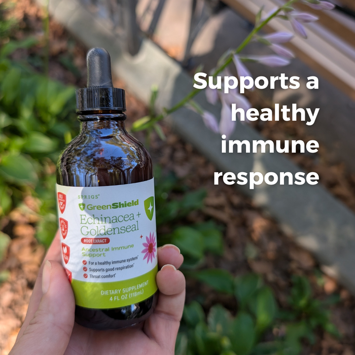 Echinacea &amp; Goldenseal Root Extract