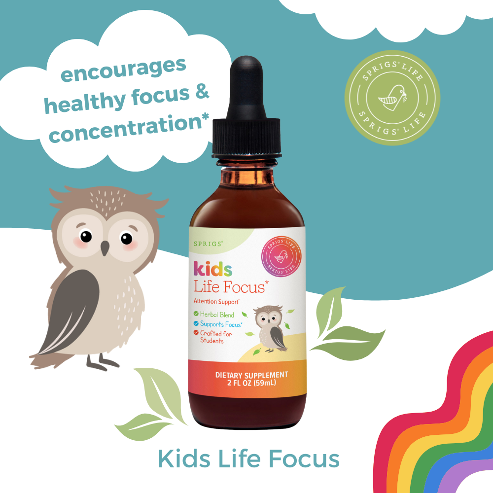 Kids Life Focus
