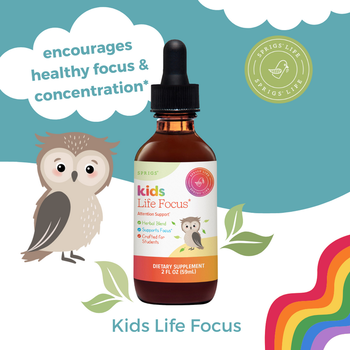 Kids Life Focus