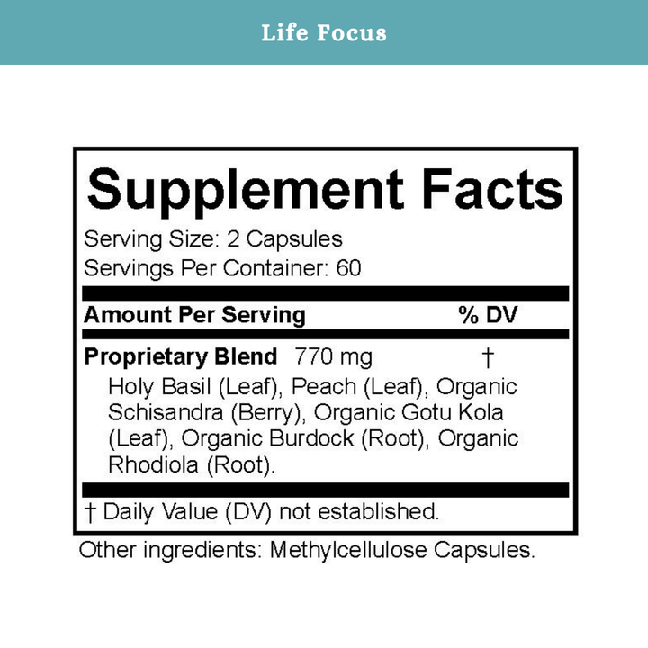Life Focus