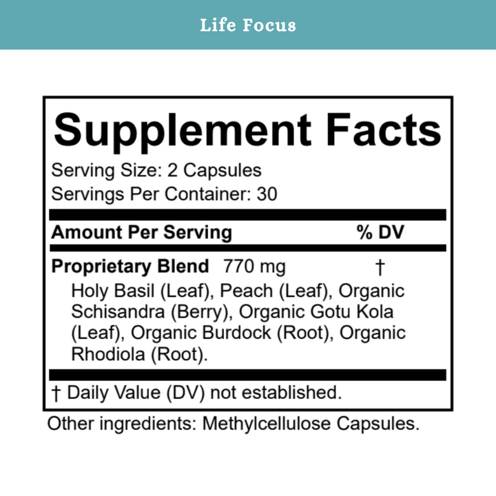Life Focus